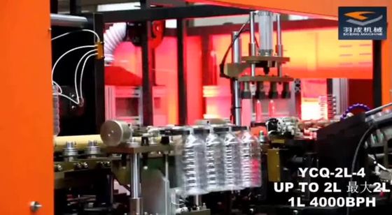 SGS 5L Stretch Blow Moulding Machine
